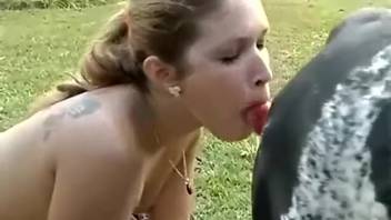 Compilation of savage animal anal intercourse
