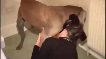 Hot babe with a dripping pussy bangs a canine