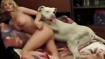 girl fucking dog in tight ass and pussy very hot
