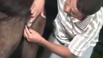 Guy bangs female horse in her snug asshole