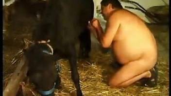 Lovely man sex with animal in the old barn