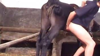 big breasted girls get horse sex