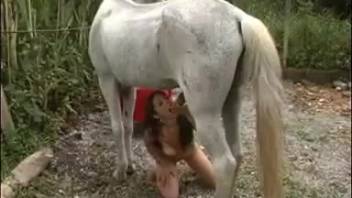 muscled stallion fucks with slutty