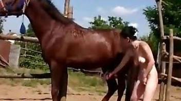 Chesty country girl has sex with horse