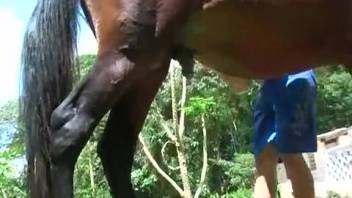 Perverted gay man in horse sex action