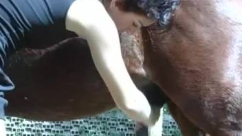 Animal sex tube video with a hot brunette