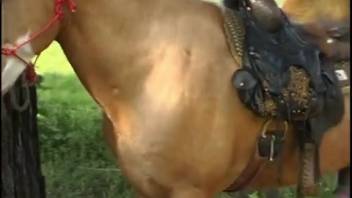 She thinks screwing a horse is hot