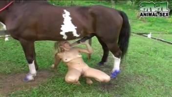 Female engaging in intercourse with a horse via webcam. Complimentary zoophilia and animal sex content