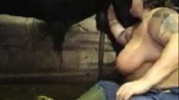 Steed penetration following oral pleasure from a voluptuous lady. Complimentary zoophilia and creature erotica