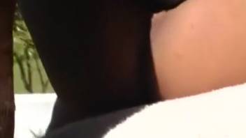 Intense pony intercourse scene with forceful thrusting