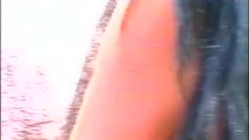 Complimentary horse intercourse video just for you. No-cost zoophilia and animal erotica