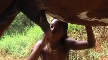 Horse cock porn with nice blowjobs in HD