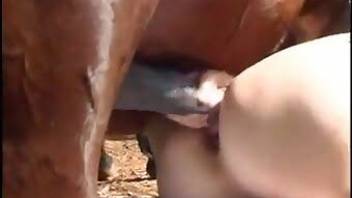 Giant horse cock fucking that hole