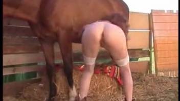 Animal sex clip featuring a naughty horse