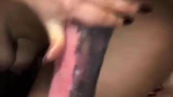 Incredible bestiality erotica featuring steamy anal stretching