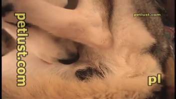 Guy controls a beast's burrow right here