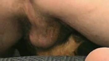 Perverted guy screws bitch's cunt super deep