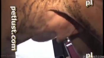 Male butthole getting blasted deep