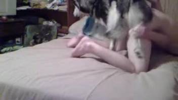Aroused man screws canine in doggy position. Complimentary zoophilia and beast sex content