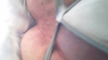 Homosexual bestiality featuring intimate anal views. Complimentary zoophilia and creature erotica
