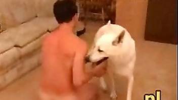 Man fucks female dog after this. Free bestiality and animal porn