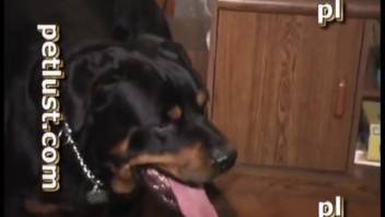 Fantastic homosexual canine bestiality experience