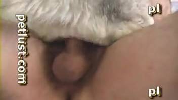 Guy pounding a bitch's hole on cam