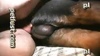 Gay dog porn with a really sexy beast