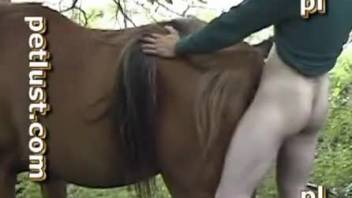 Dude drilling a mare's pussy hard