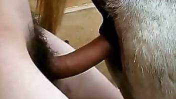 Dudes hairy cock ruins an animal pussy