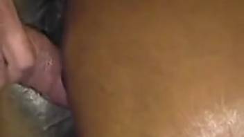 Most insane horse intercourse footage of all time. Complimentary zoophilia and creature erotica