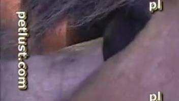 Mature snatch gets banged by a sexy stud