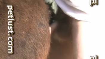 Guy controls a wild chick's steamy entrance right here