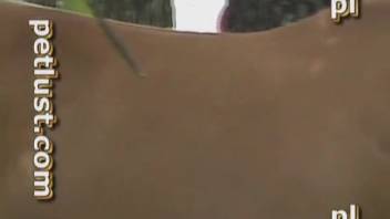 Guy's rock-hard cock pounds a mare's tight hole
