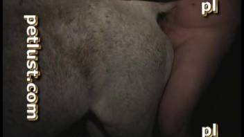 Guy fisting mare's cunt and more