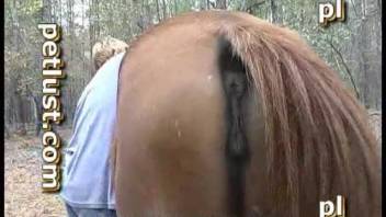 Man bangs horse and climaxes are visible too
