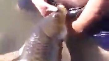 Gay animal porn action with a real fish