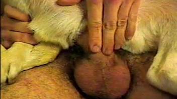 Impressive dude screws canine in reverse cowgirl position