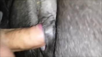 Man bangs female horse with steamy close-ups