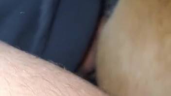 Steamy guy screws a horse in adult flick